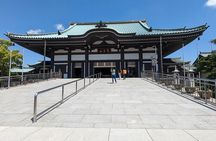 Guided Tour of Nagoya by Car