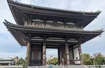 Guided Tour of Nagoya by Car