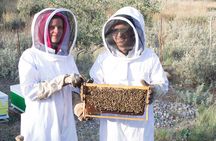 Beekeeping and Honey Stories in Itea