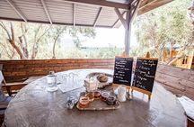Beekeeping and Honey Stories in Itea