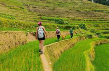 Full Day Private Trekking Mu Cang Chai