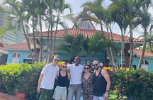 Saint Lucia Beach Tour with Free Entry