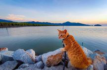 Penang Balik Pulau Countryside Morning Cycling Tour