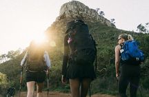 Lion's Head Hike-sunrise/sunset with professional private guide 