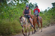 HORSEBACK - RIDE Through Punta Cana