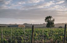 Syracuse: Exclusive Sicilian Wine Tasting Experience