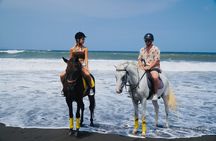 Bali Horse Riding Trot & Canter Sanur Beach include Transport