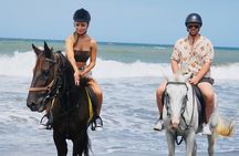 Bali Horse Riding Trot & Canter Sanur Beach include Transport