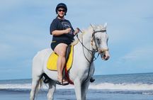 Bali Horse Riding Trot & Canter Sanur Beach include Transport