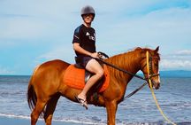 Bali Horse Riding Sanur Beach include Transport