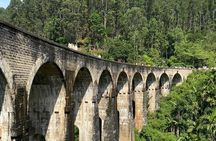 Ella Day Tour with Scenic Train Ride From Hikkaduwa