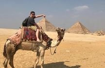 Cairo Photoshoot with Jumping Horse And Camel In Giza Pyramids
