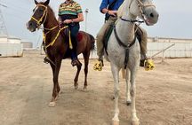 Private-Doha Horse Ride/Camel Ride/Quad Bike All Inclusive Tour