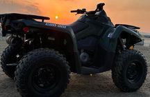 Private-Doha Horse Ride/Camel Ride/Quad Bike All Inclusive Tour