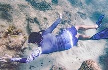 8 Hours Private Tours in Puerto Rico