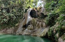 8 Hours Private Tours in Puerto Rico
