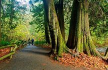 Waterfall, Skywalk, Trestle, Castle and Whales in Victoria