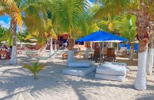 Discover Cozumel Island: Tour 5 Highlights in 1 day