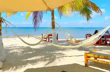 Discover Cozumel Island: Tour 5 Highlights in 1 day