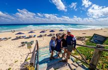 Discover Cozumel Island: Tour 5 Highlights in 1 day