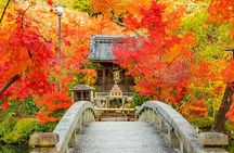 Nanzenji, Eikando, and Ginkakuji Autumn Private Tour in Kyoto