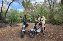 3-Hour Electric Scooter Island Tour in Aruba