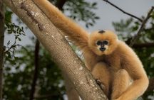 Tour of the Wildlife Rescue Center