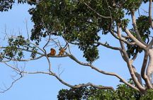 Tour of the Wildlife Rescue Center