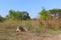 Tour of the Wildlife Rescue Center