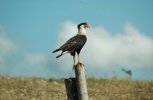 Birdwatching hiking tour