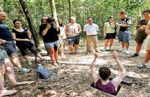 Cu Chi Tunnels Half Day Tour