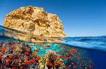 Ras Mohamed & White Island VIP Trip Sharm el Sheikh