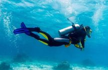 Dive Deep, Two Professional Dives, Transfer & Lunch – Hurghada