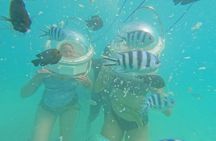 Underwater Sea Walk & Beaches In The North With Transportation
