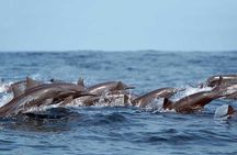 Private Huatulco Ocean Eco Adventure