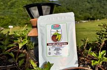 Coffee Tour: from the mountains to the cup 