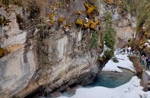 Lake Louise Johnston Canyon Hike Banff Town tour from Banff 
