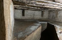 Private Guided Walking Tour in Stone Town