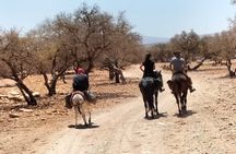 1 Day Horseback Riding Tour with Overnight Stay in Berber Tent