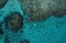 Mission Beach: Small Group | Outer Reef Snorkel & Dunk Island