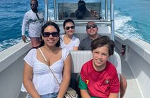 1 Hour Harbor Tour: Unlimited Punch, Celeb homes, Atlantis….