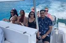 1 Hour Harbor Tour: Unlimited Punch, Celeb homes, Atlantis….