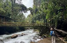 Mindo Cloud Forest Private Day Tour and Chocolate Factory