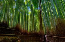 Kyoto Early Bird English Tour: Fushimi-Inari and Arashiyama