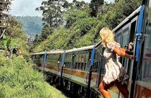 Ella Private Day Tour with Train Ride and Visit to Nine Arch