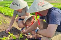 Home Cooking Class: Market, Garden and cooking 4 dishes