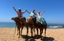 Tanger Private Tour from Tarifa To Tangier (included) breakfast 