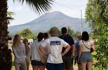Pompeii Vineyard Escape: Private Wine Tasting & Lunch