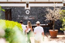 Seafood Lunch & Wine Tasting with Scenic Golf Cart Tour