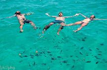 Dolphin and Snorkeling Activity to Mnemba from Nungwi